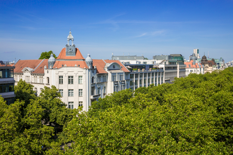 Лето в Берлине: прогулки по городу